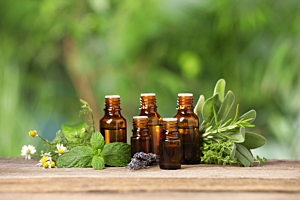Heilpflanzen für die Hausapotheke: Natürliche Helfer aus der Phytotherapie