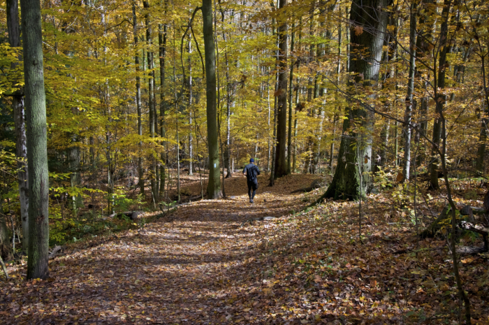 Stimmungstief im Herbst – Ursachen, Tipps & Hilfe aus der Apotheke