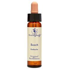 Bachblüte Adler Beech Tropfen