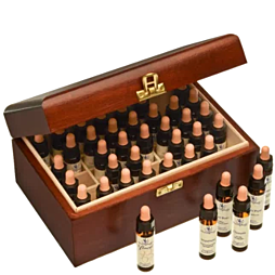 Bachblüte Adler Set 40 x 10 ml Flaschen in der Holzbox