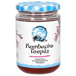 Gall Pharma Kombucha Teepilz GPH 1 Stück