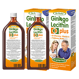 Ginkgo Lecithin plus Tonikum Dr. Fischer 1000ml (2x500ml)