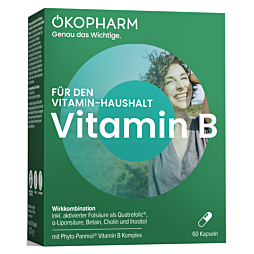 Ökopharm VITAMIN B Wirkkombination Kapseln 60 Stück