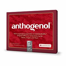 Anthogenol OPC Original Masquelier´s Kapseln