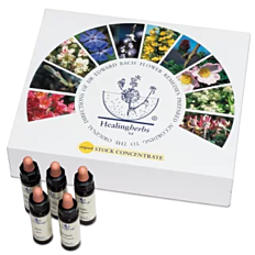 Bachblüte Adler Set 40 x 10 ml Flaschen in der Kartonbox