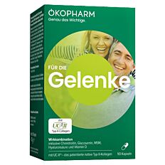 Ökopharm GELENKE Wirkkombination Kapseln 90 Stück