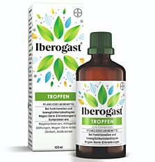Iberogast flüssig-100ml