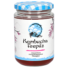 Gall Pharma Kombucha Teepilz GPH 1 Stück
