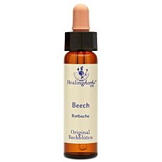 Bachblüte Adler Beech Tropfen