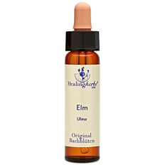 Bachblüte Adler Elm Tropfen