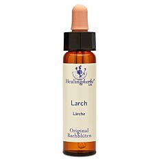 Bachblüte Adler Larch Tropfen