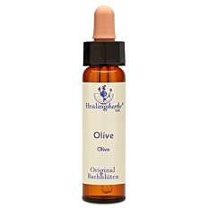 Bachblüte Adler Olive Tropfen