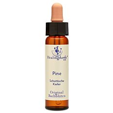 Bachblüte Adler Pine Tropfen