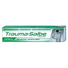 Trauma Salbe kühlend Mayrhofer