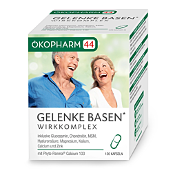 Ökopharm 44 GELENKE BASEN Wirkkomplex Kapseln 120 Stück