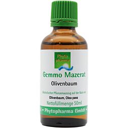 Phytopharma Gemmo Mazerat Olivenbaum Tropfen 100 ml