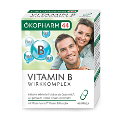 Ökopharm 44 VITAMIN B Wirkkomplex Kapseln 60 Stück