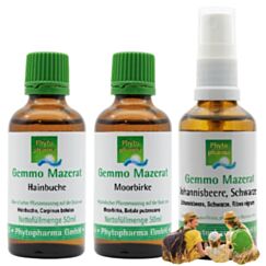 Phytopharma Allergie-Set