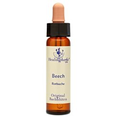 Bachblüte Adler Beech Tropfen