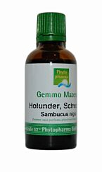 Phytopharma Gemmo Mazerat Schwarzer Holunder Tropfen