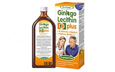 Ginkgo Lecithin plus 2x500ml Doppelpackung