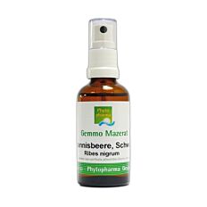 Phytopharma Gemmo Mazerat schwarze Johannisbeere Spray