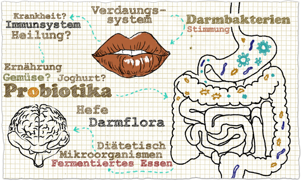 Probleme bei der Verdauung - Darmflora sanieren