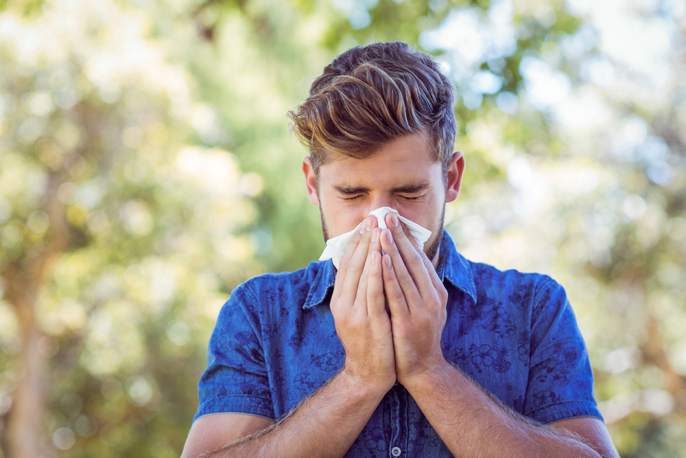 Natürliche Hilfe bei Allergien - Phytopharma