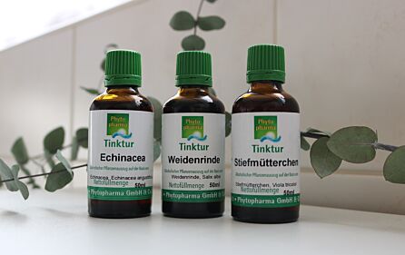 Gestärkt durch die Erkältungszeit mit der Phytotherapie!