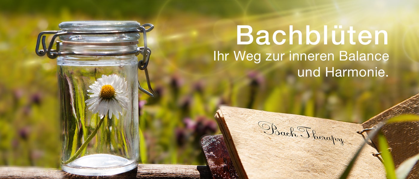 Bachblüten